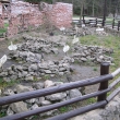 Kdy� tak m�li dobr� h�bitov ..